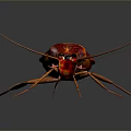 Red Cockroach with Long Antennae Shiny Exoskeleton and Detailed Closeup on Dark Background