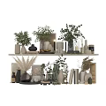 Decorative Ornament Arrangement with Green Plants Vases Books and Decorative Items