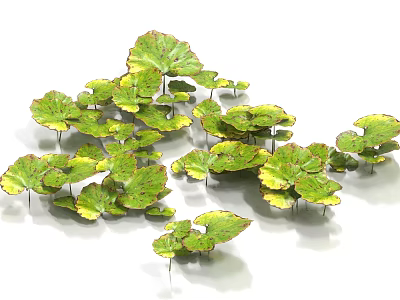 Aquatic Plants Featuring Green and Yellow Floating Leaves in Natural Water Scene 3d model