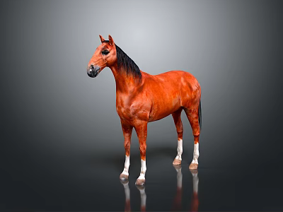 Brown Horse with Black Mane and White Hooves Standing on Gray Background with Reflection 3d model