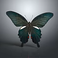 Detailed Dark Green Butterfly With White Spots Red Dots And Veined Wings On Gray Background