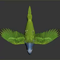Colorful Parrot Flying with Vibrant Green Wings and Blue Head Against Gray Background