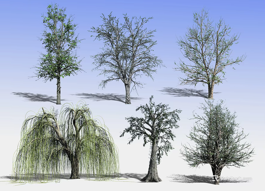 Diverse Arbor Trees With Various Crown Shapes And Foliage Forms For Landscape Design 3d model 