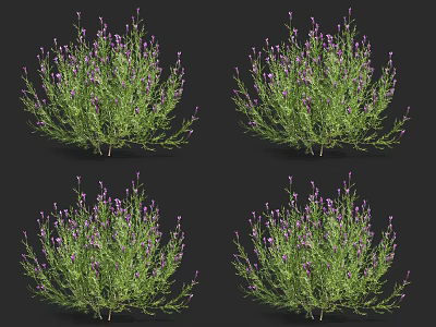 Vibrant Purple Flowering Bushes With Lush Green Foliage For Garden Landscaping 3d model