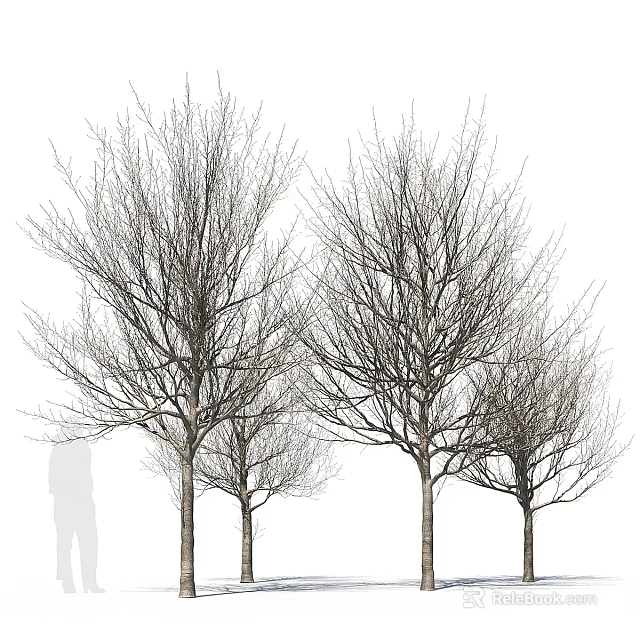 Tree Pit Design With Multiple Bare Trees And Tall Trunks In Landscape 3d model 