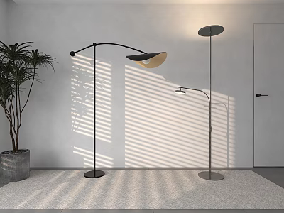 Modern Floor Lamp With Minimalist Design Light Shadow And Plant On White Indoor Wall 3d model