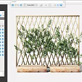 Decorative Green Plants Featuring Fence Bushes Arched Hedges And Various Shapes