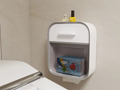 Wall Mounted Bathroom Tissue Box With Storage For Daily Necessities And Decor 3d model