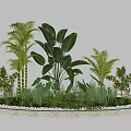 Garden Landscape Circular Design With White Stone Border Tropical Plants Large Leaves Shrubs White Pebbles