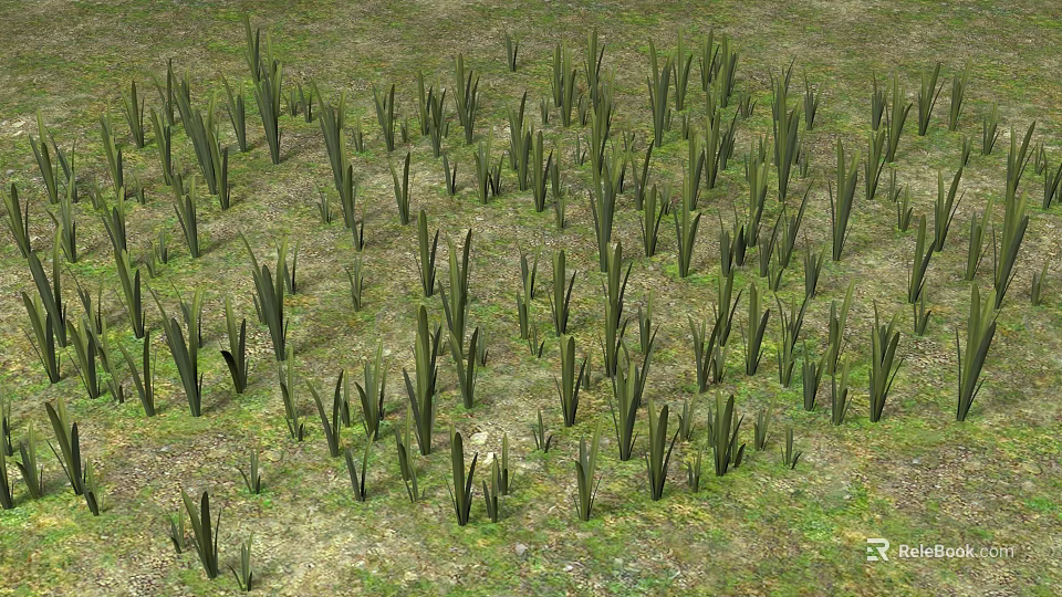 Lush Natural Green Herb Plants With Slender Leaves Growing On Grassland 3d model 