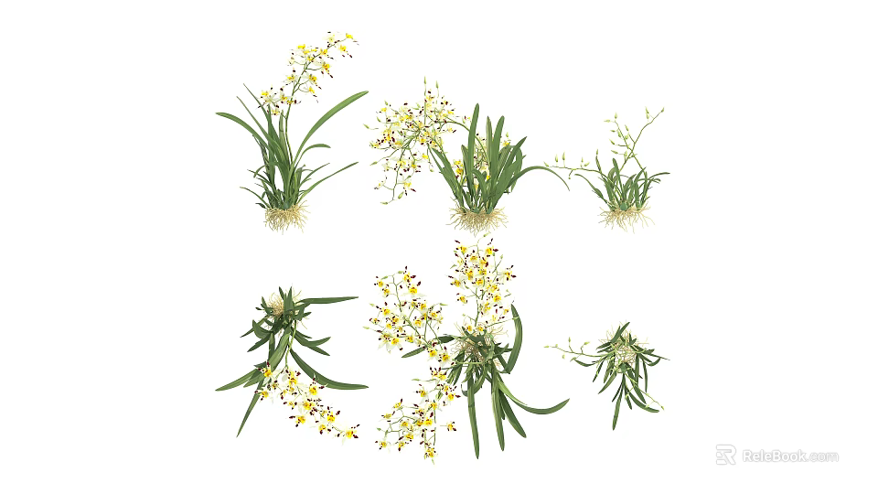 Beautiful Various Natural Blooming Flowers With Yellow Petals And Green Leaves 3d model 