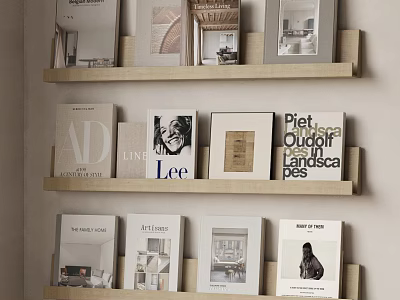 Modern Wooden Bookshelf with Art Books and Design Magazines on Shelves 3d model