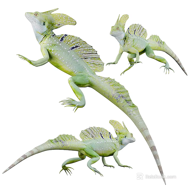 Green Reptile Lizard With Crested Back And Spotted Skin In Different Poses 3d model 