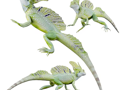 Green Reptile Lizard With Crested Back And Spotted Skin In Different Poses 3d model