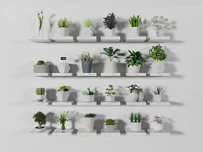 Bonsai Potted Plants Display on White Shelves with Various Green Plants and Decorative Pots 3d model