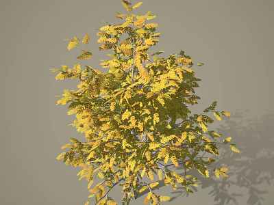 Lush Deciduous Arbor With Vibrant Yellow Autumn Leaves And Natural Silhouette 3d model