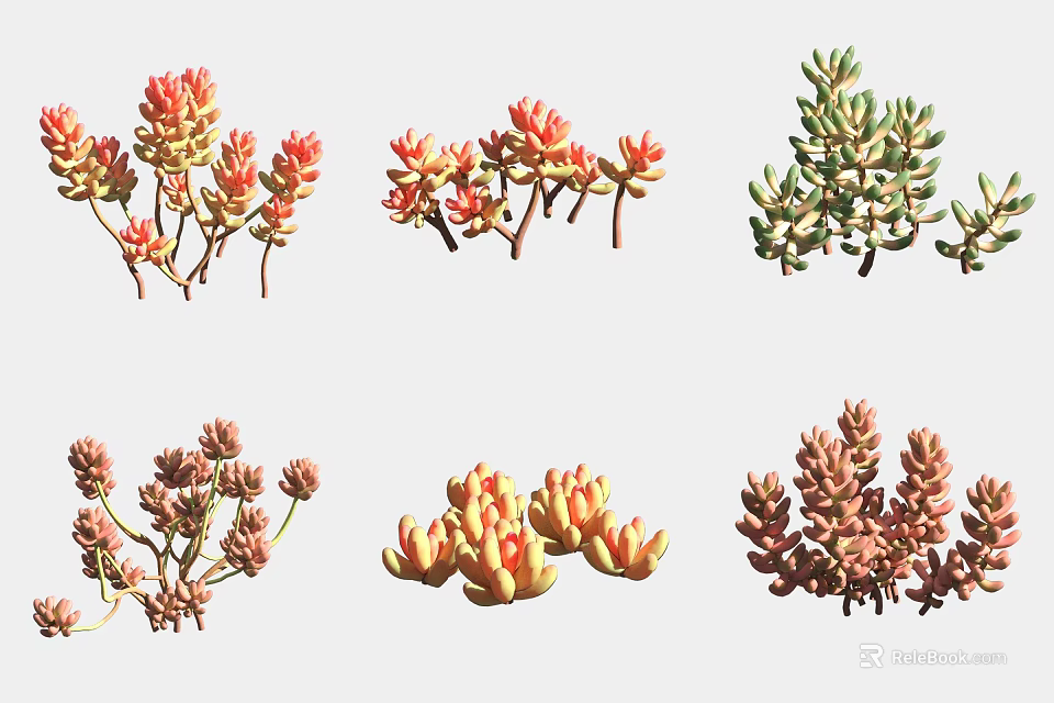 Colorful Succulent Plants Various Types For Indoor Decor And Home Garden 3d model 