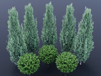 Green Plants With Various Shapes For Vertical Garden 3d model