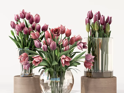 Pink And Purple Tulips Arranged In Transparent Glass Vases On Wooden Pedestals 3d model
