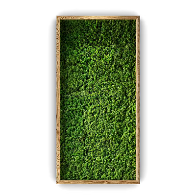 Indoor Living Green Plant Wall With Wooden Frame And Lush Foliage Decorative Design 3d model