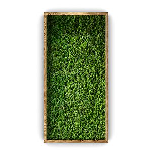 modern plant wall green plant wall 3d model