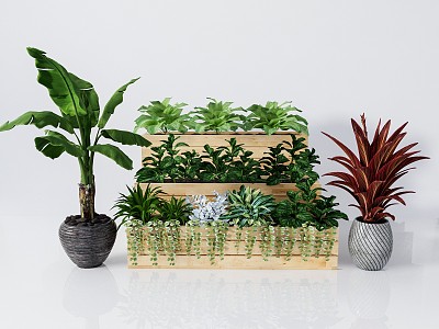 modern potted plant green plant potted plant model