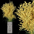 Yellow Mimosa Flowers Arranged in Grey Geometric Pattern Ceramic Vase