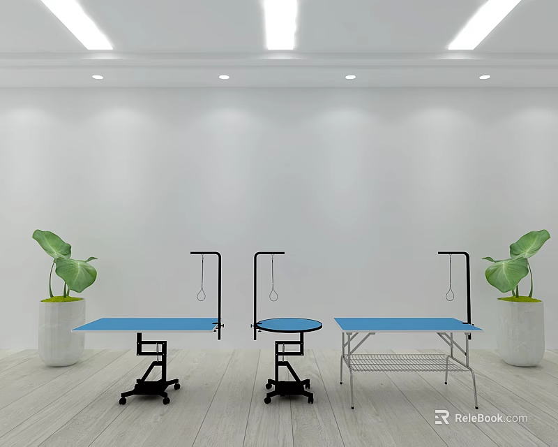 Bright Interior Space Featuring Blue Tabletops Metal Frames Green Plants And White Planters 3d model