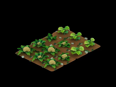 Cauliflower Plants With Green Leaves And White Heads Growing Healthily In Agricultural Soil 3d model