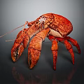 Red Lobster With Large Claws On Dark Background Showing Reflection