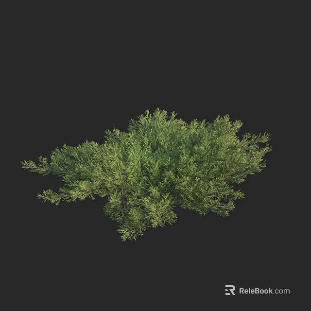 Green Shrub With Lush Foliage And Dense Branches On Dark Background 3d model 