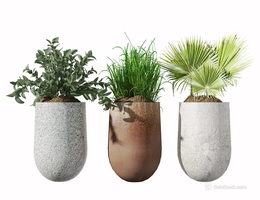 Potted Plants In Concrete Pots With Leafy Grassy And Fan Shaped Greenery 3d model 