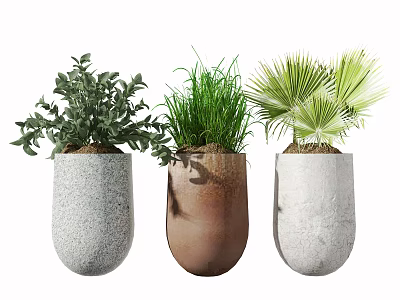 Potted Plants In Concrete Pots With Leafy Grassy And Fan Shaped Greenery 3d model