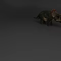 Realistic Reptile Dinosaur Triceratops With Colorful Frill Horns And Textured Skin Design