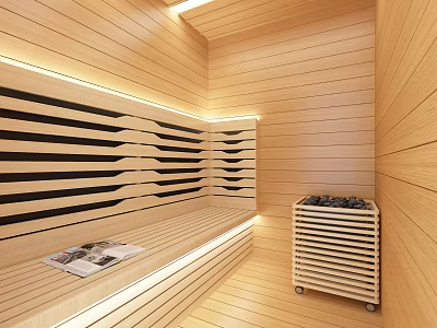 Modern Sauna Interior With Wooden Panel Walls Bench Lighting And Heater 3d model