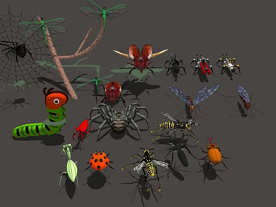 Collection of Various Insects Including Spiders Dragonflies Caterpillars and Beetles with Spider Web and Branch 3d model