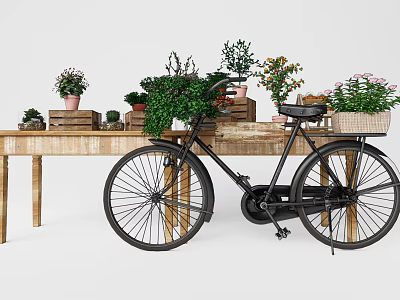 Vibrant Bonsai Potted Plants Placed On Wooden Table With Black Bicycle And Wooden Crates 3d model