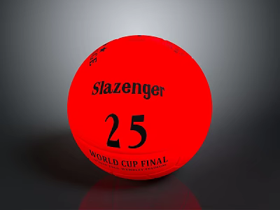 Slazenger Red Cricket Ball Featuring World Cup Final 25 Logo 3d model