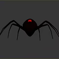 Dark Brown Spider With Red Markings On Abdomen And Long Legs
