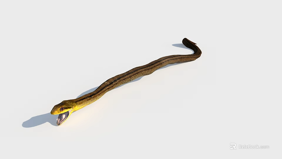 Snake With Yellow Head Open Mouth And Brown Striped Body On White Background 3d model 