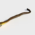 Snake With Yellow Head Open Mouth And Brown Striped Body On White Background