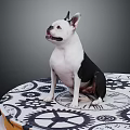 Black and white dog sitting on gear pattern mat against gray background 3d model