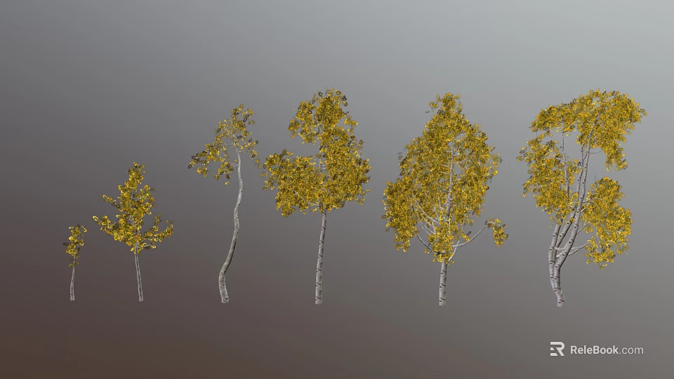 Five Trees with Various Shapes Yellow Leaves and White Trunks Against Gray Background 3d model 