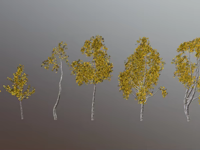 Five Trees with Various Shapes Yellow Leaves and White Trunks Against Gray Background 3d model