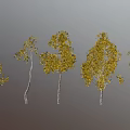 Five Trees with Various Shapes Yellow Leaves and White Trunks Against Gray Background