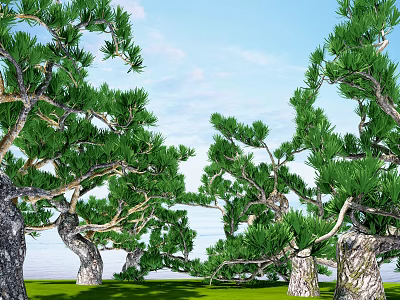 Lush Green Arbor Trees With Thick Trunks Under Blue Sky On Grass 3d model