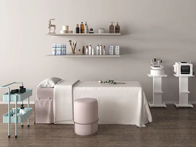 Beauty Treatment Room With White Bed Pink Stool Blue Trolley And Shelf Decorations 3d model