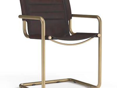 Dark Brown Leather Leisure Chair With Gold Metal Frame And Armrests Design 3d model
