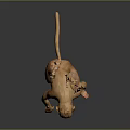 Monkey 3d model