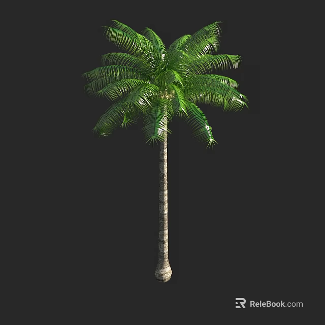 Lush Green Palm Tree With Tall Slender Trunk And Vibrant Fronds 3d model 
